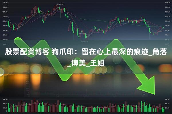 股票配资博客 狗爪印：留在心上最深的痕迹_角落_博美_王姐