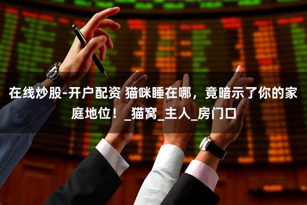 在线炒股-开户配资 猫咪睡在哪，竟暗示了你的家庭地位！_猫窝_主人_房门口