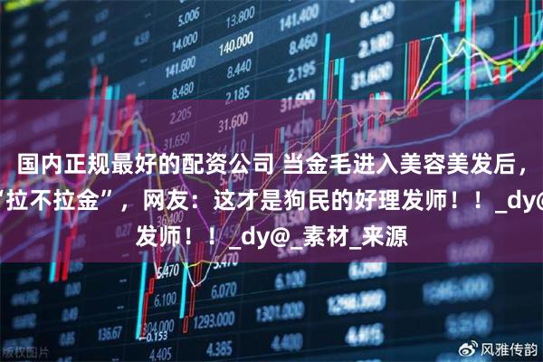 国内正规最好的配资公司 当金毛进入美容美发后，成功被爆改“拉不拉金”，网友：这才是狗民的好理发师！！_dy@_素材_来源